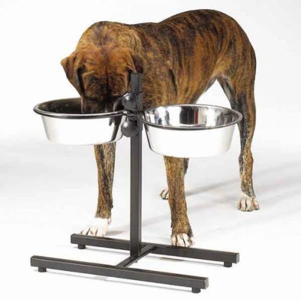 ProSelect Adjustable Diner with Bowls 160oz Online