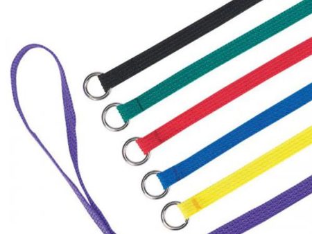 Guardian Gear Kennel Leads 6 Ft 6-Pack Cheap