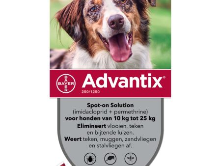 Advantix 250 1250 Spot-On Hund 10-25kg Discount