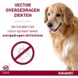 Advantix 400 2000 Spot-On Hund 25-40kg Hot on Sale