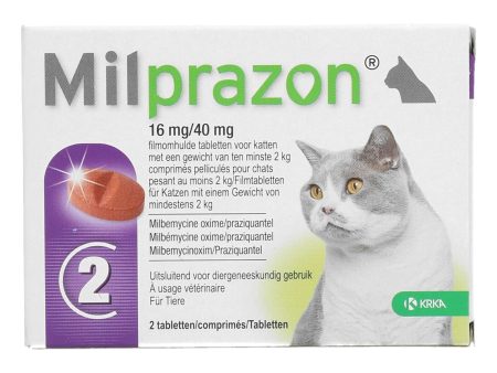 Milprazon Entwurmungsmittel Katze 16mg Hot on Sale