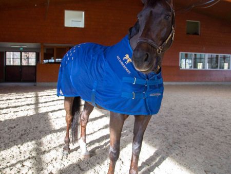 Accuhorsemat Decke Cooler ohne Accupressure Mat Blau Hot on Sale